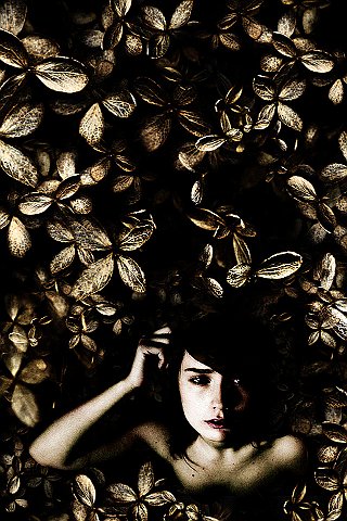 Fantasy (360)